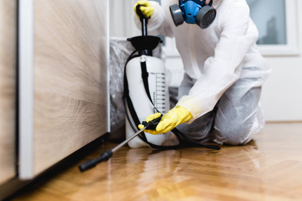 Best Exterminator Services  in Mount Shasta, CA