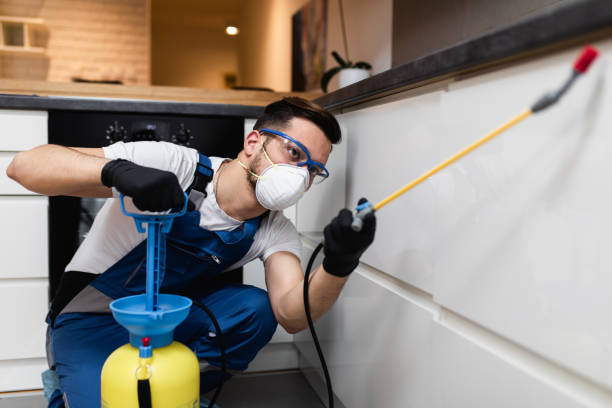 Best Best Pest Control Companies  in Mount Shasta, CA