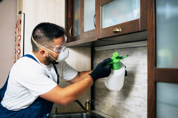Best Affordable Pest Control Services  in Mount Shasta, CA