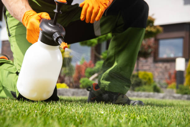 Best Pest Control for Businesses  in Mount Shasta, CA