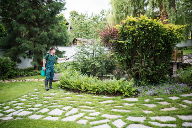 Best Residential Pest Control  in Mount Shasta, CA
