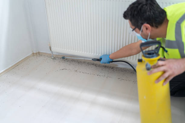 Best Pest Inspection Near Me  in Mount Shasta, CA