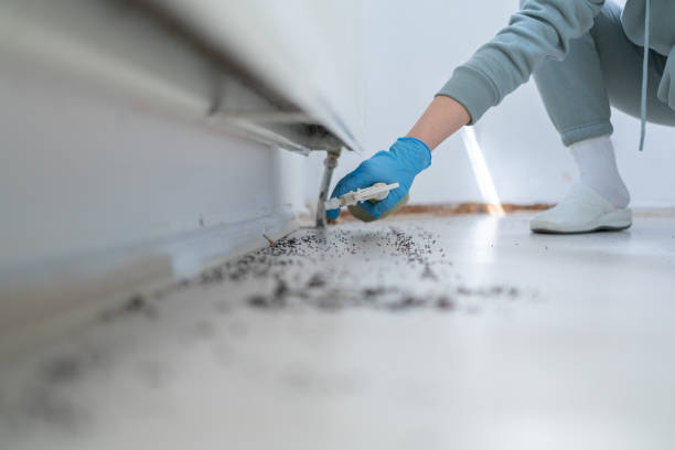 Best Wildlife Control Services  in Mount Shasta, CA